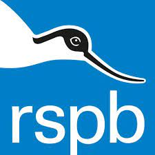 Copyright information | About our site - The RSPB