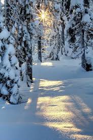 Midwinter Dream | Paysage magnifique hiver, Paysage de neige en peinture,  Paysage ski