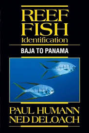 Reef Fish Identification By Paul Humann And Ned Deloach Paperback