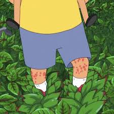 how to get rid of poison ivy the
