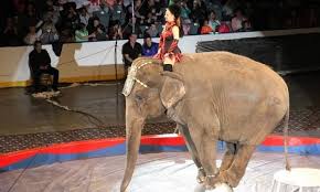 Tangier Shrine Circus On February 22 Or 23