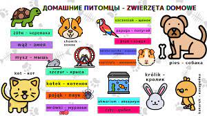 Урок польского языка №18