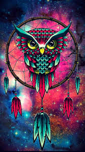 cute colorful owl wallpapers on