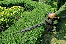 Green And Leafy Garden Services