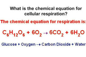 What Is The Chemical Equation For