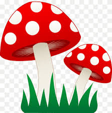 mushroom house ilration mushroom
