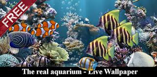 Second of all it is free and easy to download. The Real Aquarium Live Wallpaper Apps On Google Play