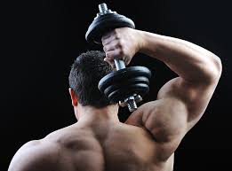 HD wallpaper: muscles, back, bodybuilding, shoulders, dumbbell, bodybuilder  | Wallpaper Flare