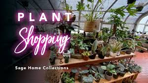 An eclectic boutique featuring home decor an eclectic boutique featuring home decor, furniture, and gifts. Peaceful Plant Shopping Sage Home Collections Uncommon Houseplants And Home Decor Youtube