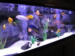 Get great deals on ebay! 28 Modern Fish Tanks That Inspire Relaxation