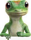 Geico offers a range of insurance policies, which. An Insurance Company For Your Car And More Geico