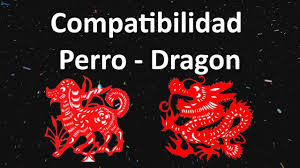 El horóscopo chino está compuesto por 12 animales, dentro de los cuales se encuentra el dragón, ocupando el puesto número 5. Compatibilidad Horoscopo Chino Dragon Y Dragon Sitios Online Para Adultos En Madrid