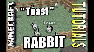 minecraft ps4 toast bunny how to
