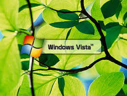 hd vista tree wallpapers peakpx