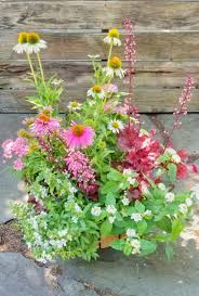 Container Gardens For Erflies And