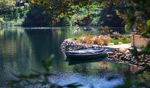 Image result for srf lake shrine