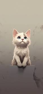 cute white cat grey wallpapers free