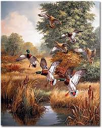 Hunting Duck Scenery Canvas Paintings