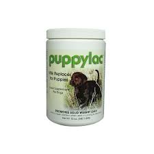 In small doses, apricot can also increase milk production. Glomarr Puppylac Milk Replacer Powder