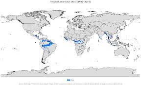 Tropical Monsoon Climate Wikipedia