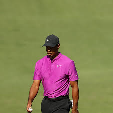 Charlie woods, the youngest competitor in the tournament's history, quickly produced highlights reminiscent. Tiger Woods Homepage