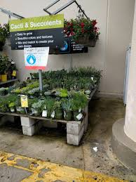 Customers can buy construction and home improvement products and services from their stores.the stores operates on a model called. Garden Center At The Home Depot Miami 1 305 552 9005