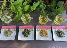 Favorite Herbs For Tea How To Grow