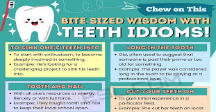 33 teeth idioms in english common