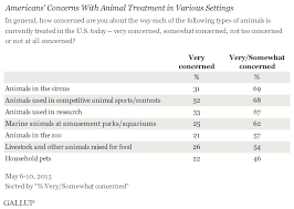 In U S More Say Animals Should Have Same Rights As People