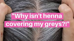 can henna cover grey hair the question