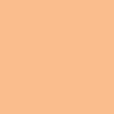Apricot Aura T15 189 4 Paint Colour