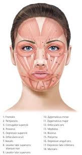 Botulinum Toxin Injection For Facial Wrinkles American
