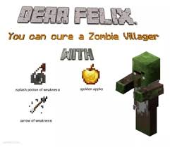 Finally wait about 8 to 10 minutes untill your zombie villager is back to normal. Fussiest Tax How To Cure A Zombie Villager Facebook