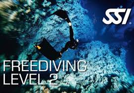 freediving ssi level 2 triton diving