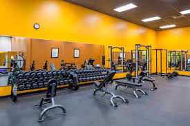 anytime fitness big lake herie