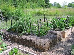 tale of a strawbale raised bed gardenrant