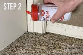 cat urine smell out of carpet