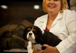 You can even request information on how much does northgate pet clinic pay if you want to. Northgate Pet Clinic 2800 N Martin Luther King Jr Dr Decatur Il 62526 Yp Com