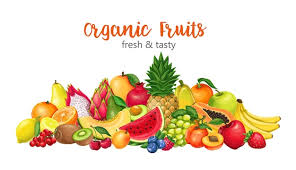 fresh fruit vectors ilrations for