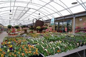dobbies garden centres leasing