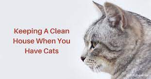 Keeping your house clean with pets can be super tough! How To Keep A Clean House When You Have Cats