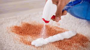 how to clean blood from carpet carpet