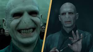 lord voldemort creation is terrifying