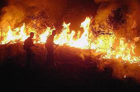 Image result for πυρκαγιές βραζιλία