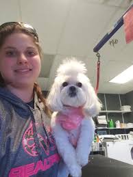 I am a certified groomer, trainer, and pet care professional and have been in this. Trustworthy Affordable Pet Grooming In Columbus Oh
