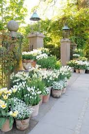 Planting Bulbs Garden Containers