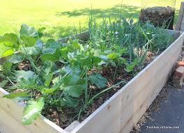 Build this raised garden bed with the 1×8 and 1×4 cedar wood boards, and it will surely last longer even when placed in hard outdoor climates. Are Raised Vegetable Garden Beds Right For You Tenth Acre Farm
