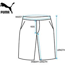 Puma It Evotrg Mens Shorts Grey
