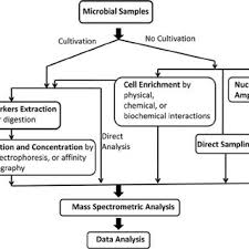 Flow Chart Of Microbial Enrichment And Analysis Strategies