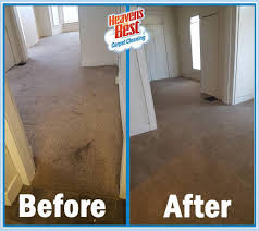 best 30 carpet cleaning in cheney wa
